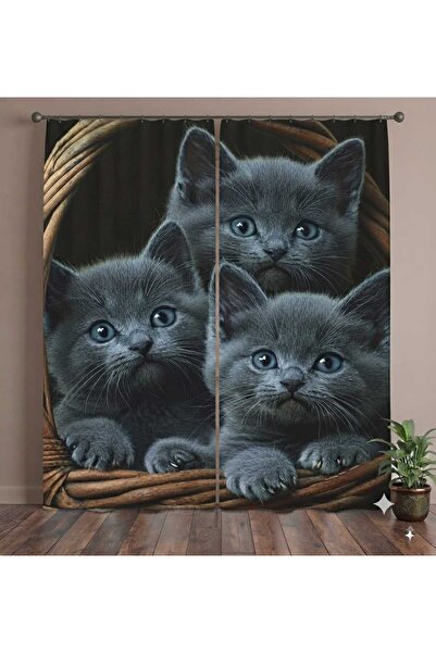 Elmas Dizayn Special Design 280*240 Cm. Organic Cotton Double Wing Background...
