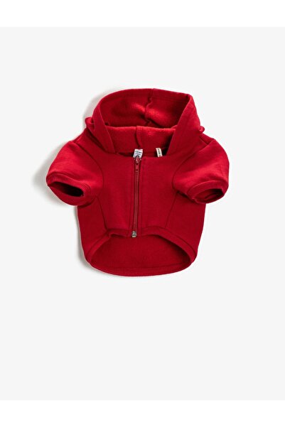 Koton Kopek Kiyafetleri Fiyatlari Ve Yorumlari Trendyol