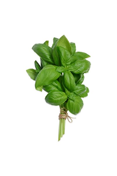 Sebze Meyve Dünyası Taze Fesleğen Demet