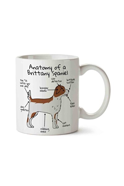 ART HEDİYE كوب مطبوع عليه تشريح الكلب بريتاني سبانيل على الجانبين