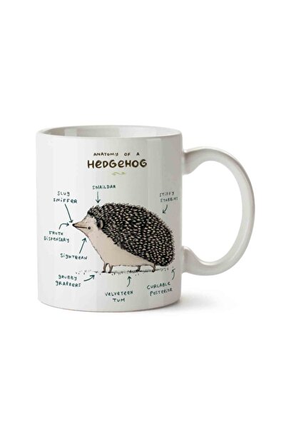Kirpi Anatomisi Hedgehog Anatomy Iki Tarafı Baskılı Kupa Bardak