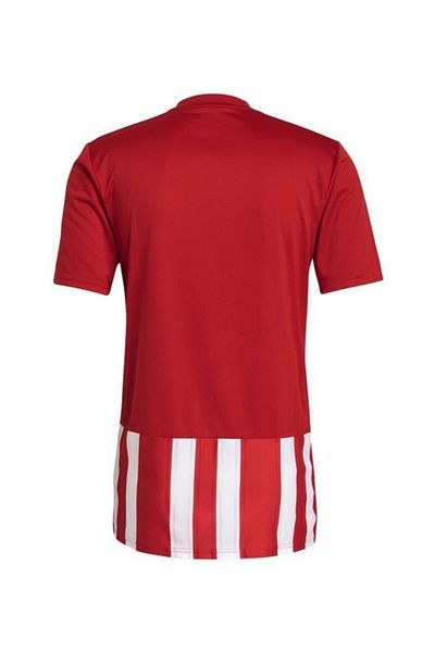 adidas Striped 21 Jsy Adgn7624 Men's Jersey