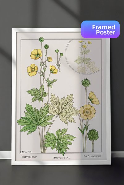 Zestia Pictură murală botanică vintage cu ramă albă, ilustrație cu flori galb...