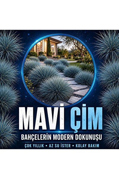 Mavi çim 4 adet