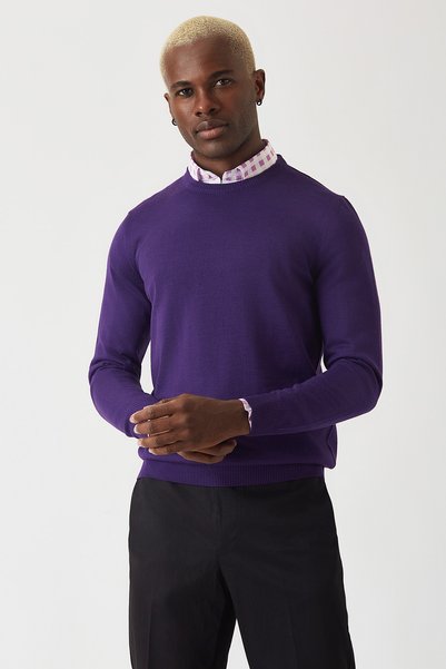 Bisse Crew Neck Purple Men's Knitwear