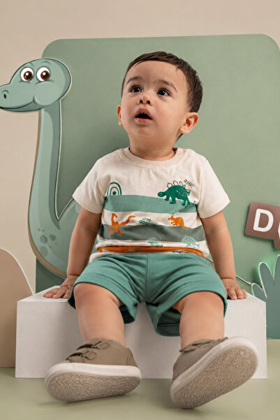 Rocha Baby Baby Boy Colorful Striped and Dinosaur Print Summer Tee & Shorts Set