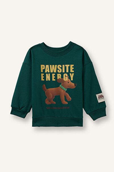 DeFacto Oversize Animal and Text Printed Crew Neck Sweatshirt for Baby Boy I3...