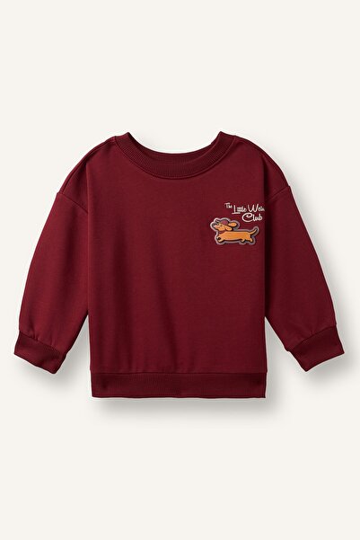 DeFacto Oversize Animal Printed Crew Neck Soft Fleece Sweatshirt for Baby Boy...