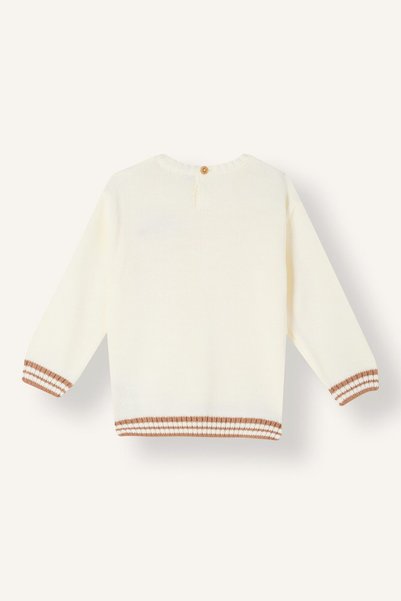 DeFacto Regular Fit Bisiklet Yaka Triko Kazak Erkek Çocuk A3851A524AU