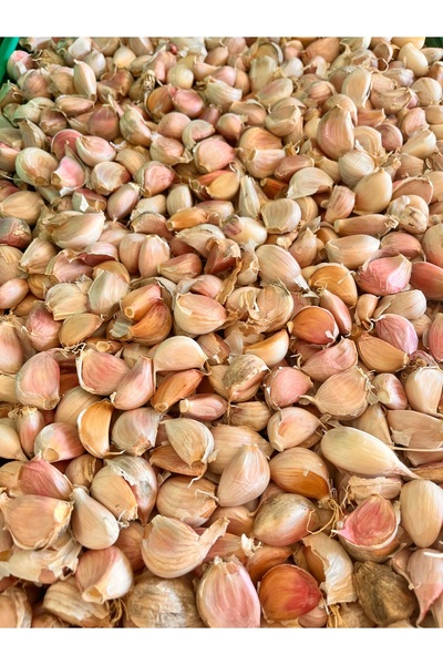 OZCOL GROUP AYIKLANMIŞ SARIMSAK 500 GR
