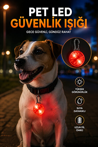 House Bird Pet LED Güvenlik Işığı Köpek Kedi Tasması İçin Gece Görünürlük Işı...
