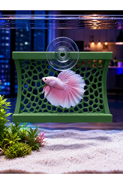 MDİZMİR Beta Rest Area Fish Nest Beta Halfmoon Production Tube (Mixed Color)