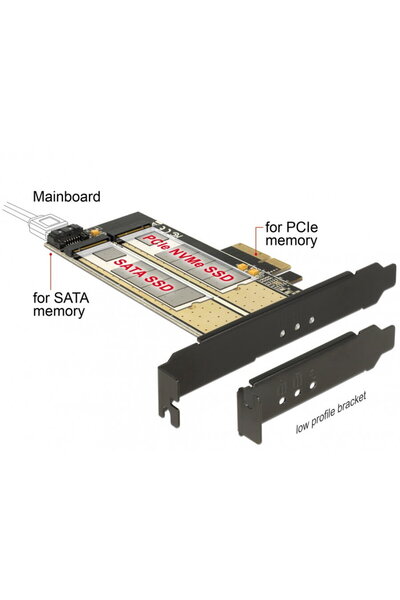 DELOCK Placă PCI Express cu 1 slot M.2 Key B + 1 slot NVMe M.2 Key M, 89630