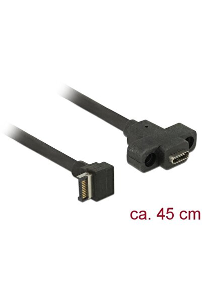 DELOCK Cablu USB Key A 20 pini - Type-C (F) 3.1 45CM Montare pe panou