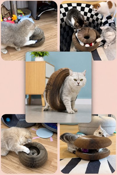 Exelox Interactive Accordion Cardboard Cat Toy with Rattles and Magnets Cat Scratching Toy