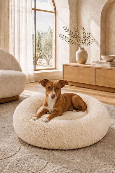 Northpetz Krem Köpek Yatağı – Küçük ve Orta Irk Köpek, Yavru Köpek ve Kedi iç...