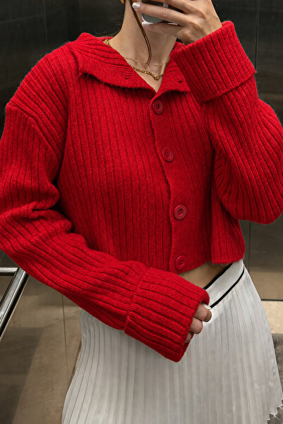 Noi Belis Basic Crop Soft Textured Stand Collar Knitwear Cardigan Aw25Hi0004