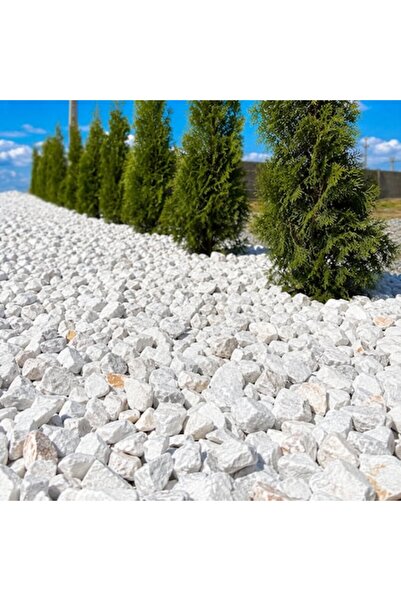 IRO Piatră decorativă din dolomit, albă, 16–22 mm, 20 kg, pentru grădină, ale...