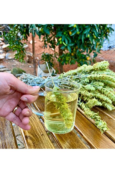 ANAMUR DALINDAN Adaçayı ( 1 Demet )