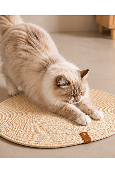 SOFT HOME KEDİ TIRMALAMA PASPASI