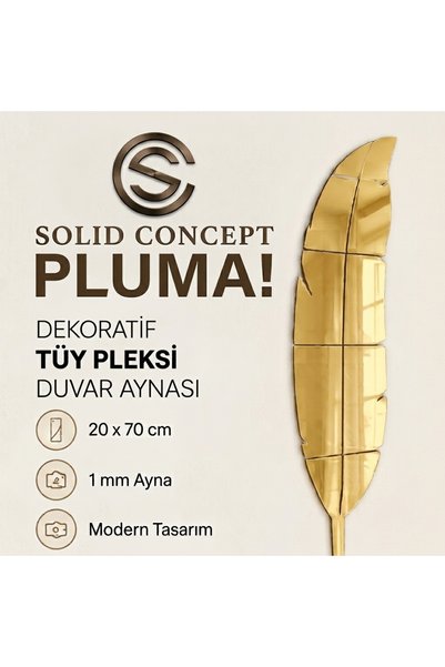 Solid Concept Pluma Aynalı Pleksi Duvar Dekoru