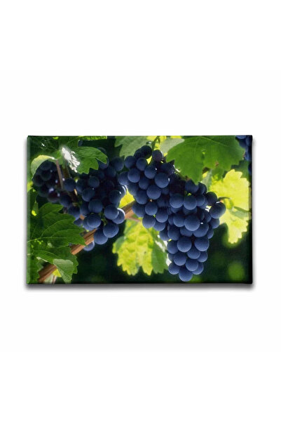 enmalife Salkim Uzum Pictură decorativă pe pânză pentru perete