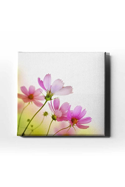 enmalife Daisy Decorative Canvas Wall Painting