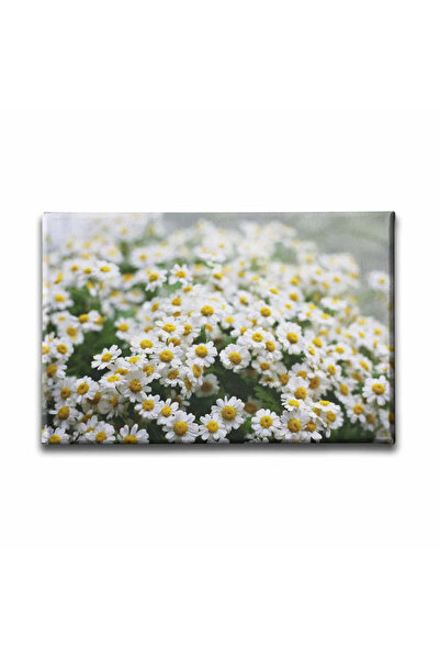 enmalife Daisy Decorative Canvas Wall Painting