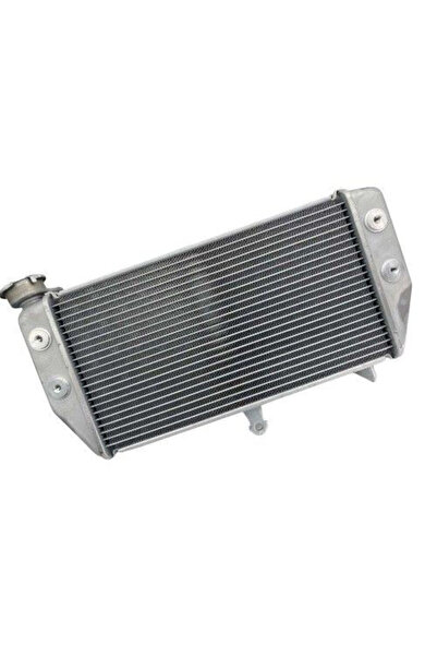 Universal R25 Radyatör Oem 2014 2024 - Moto11