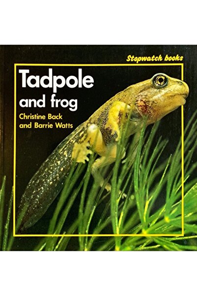 Bloomsbury Tadpole And Frog - Back And Watts
