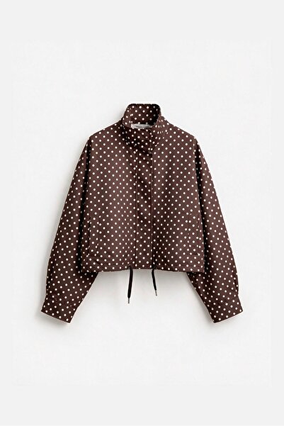 My Blog Brown Mini Polka Dot Jacket with Tie at the Waist - 9788