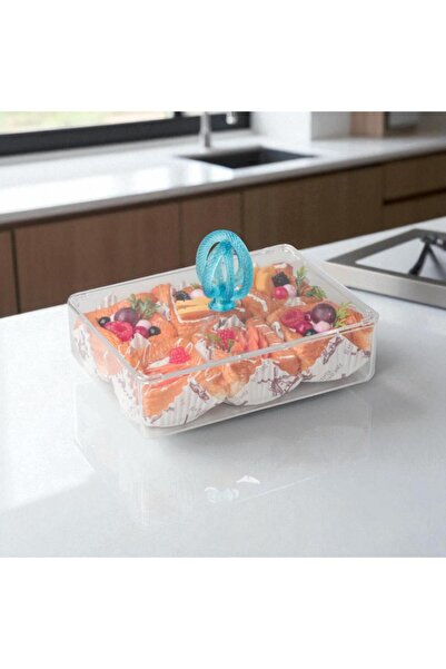 SOLETER Acrylic Snack Serving Tray - Clear and Sky Blue - Small Rectangular Size
