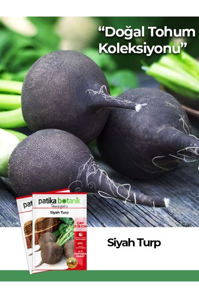 Patika Botanik 400 Adet Ata Tohumu Siyah Turp