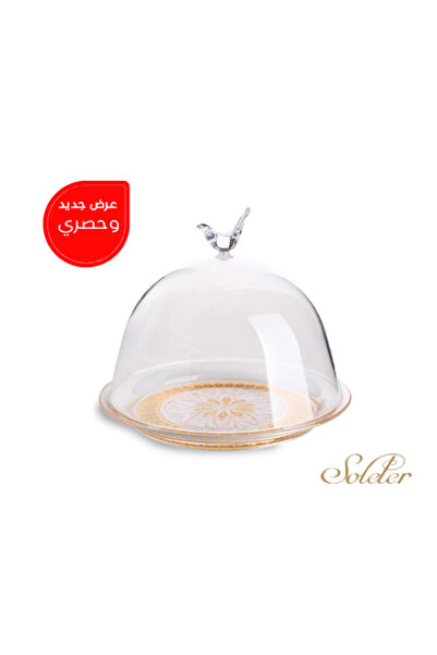 SOLETER Acrylic Cake Serving Dish 22cm Transparent/Gold - Medium Tray with Cl...