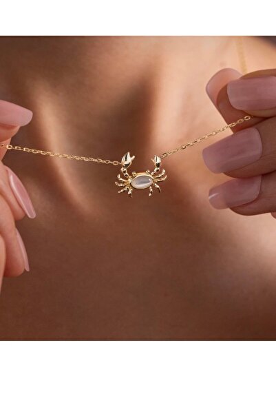shop Cancer Zodiac Necklace