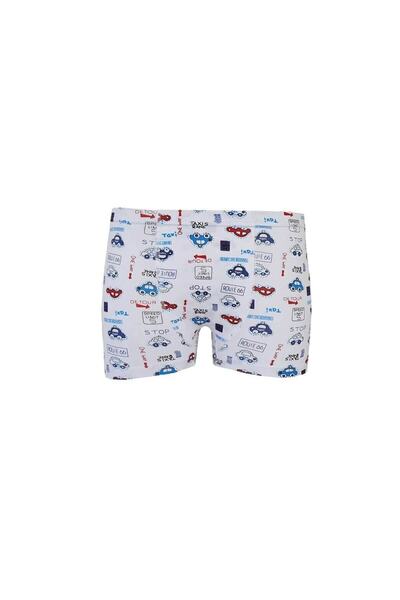 Zulu Ticaret Tutku-Boy's Elastane Printed Boxer 9 Pieces