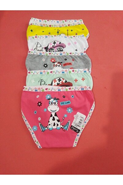 Zulu Ticaret Tutku-4 Pieces Women's High Waist Bato Thick Rubber Panties S9