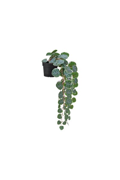 IKEA Modern Yeşil Dekoratif Ürün 9 cm - Ev Dekorasyon