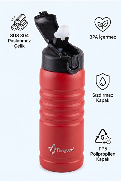 Penguen Children's Steel Water Bottle with Straw and Flask 500 ml Leak-Proof ...