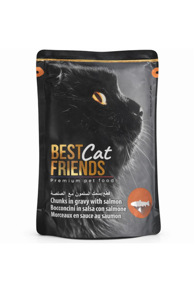 Best Cat Friends بيست كات فريند طعام قطط رطب قطع السلمون مع الصلصة 100 جرام