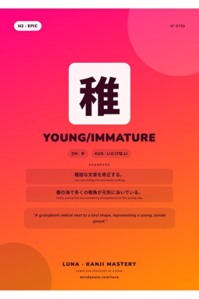 OEM Poster Infografic Kanji Tânăr Imatur Japonez, Design Educativ, Carton 250...