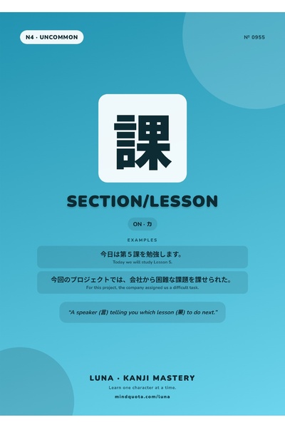 OEM Poster Infografic Kanji Secțiune Lecție, Ghid de Scriere Japoneză, Carton...