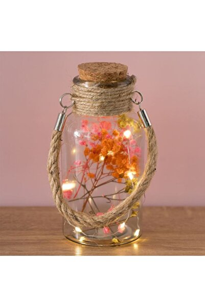 CATIANO Sticla Decorativa de Masa cu 10 Becuri LED & Flori Uscate Ø8x17cm