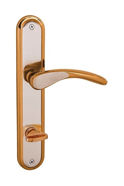 FREKANS Atlas Satin Albirifin Mirrored Wc Door Handle