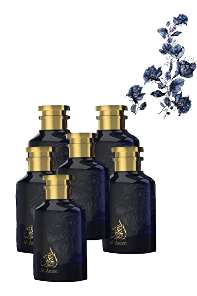Faan 6 Pieces Al-areen Perfume 100ML