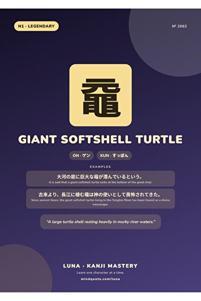 OEM Poster Infografic Testoasa moale uriasa Kanji, Educativ si Decorativ, Car...