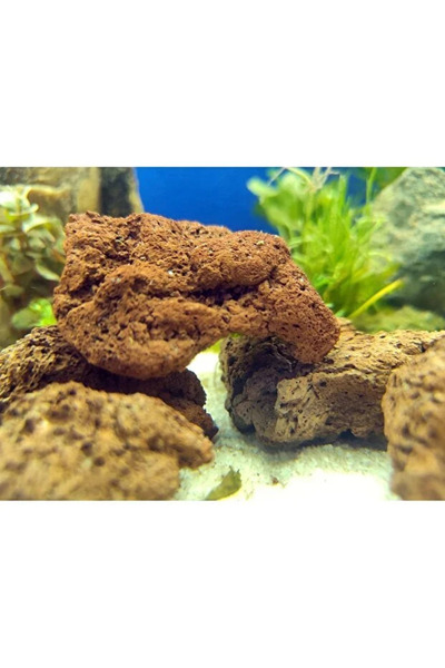 canlipetshop Turuncu Doğal Lav Kayası 4 Adet 5-7 Cm - Akvaryum Dekor Kayası