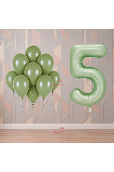 RÖNESANS PARTİ Rönesans 5 Year Old Green Themed Birthday Party Set