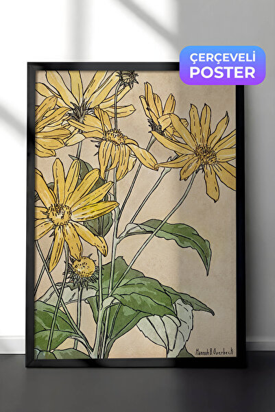 Zestia Pictură murală botanică vintage cu ramă neagră, ilustrație cu floarea-...