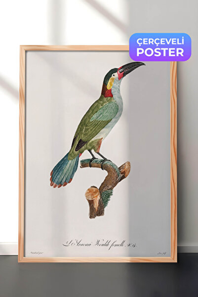 Zestia Pictură de perete vintage cu pasăre, înrămată în lemn, ilustrație cu p...